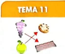 Figura 4 de Matematica · 4 EGB · 2024