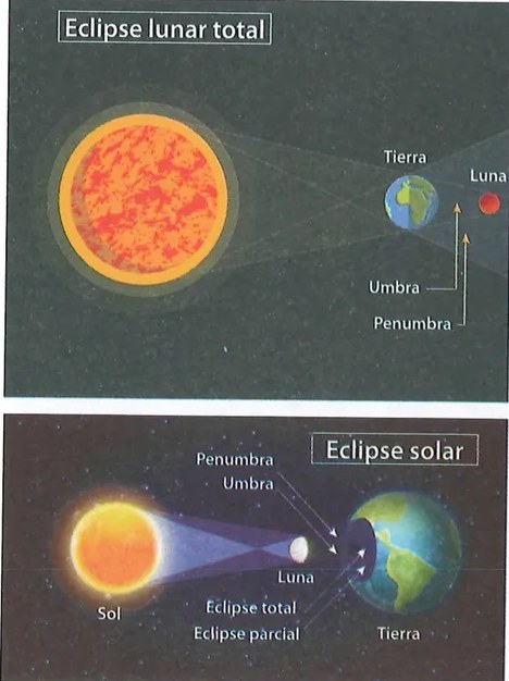 Figura 3 de Ciencias Naturales · 7 EGB · 2024