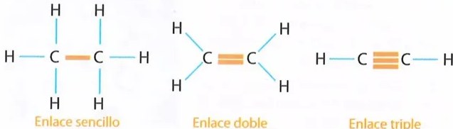 Figura 6 de Ciencias Naturales · 8 EGB · 2025