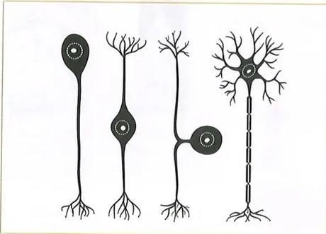 Figura 3 de Ciencias Naturales · 10 EGB · 2024