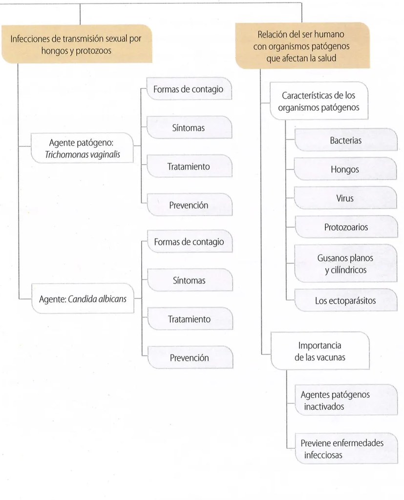 Figura 2 de Ciencias Naturales · 9 EGB · 2024