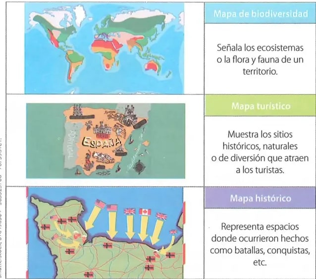 Figura 1 de Estudios Sociales · 8 EGB · 2024