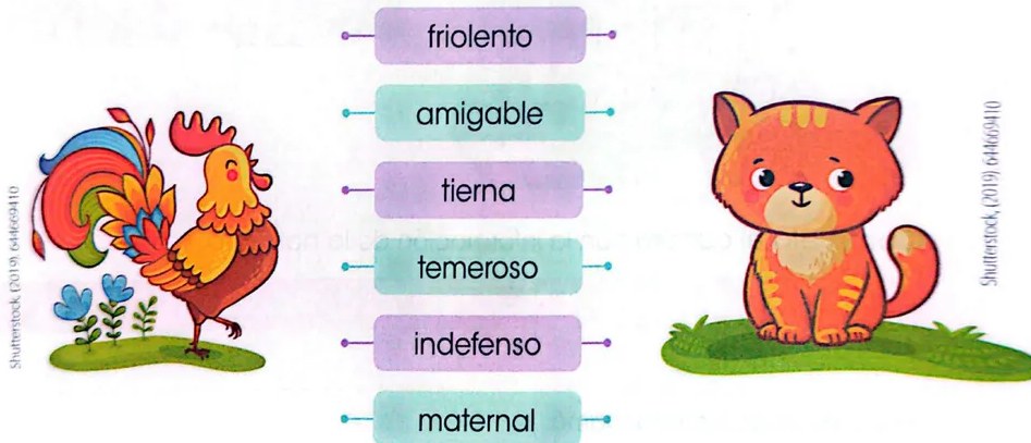 Figura 2 de Lengua Y Literatura · 3 EGB · 2025