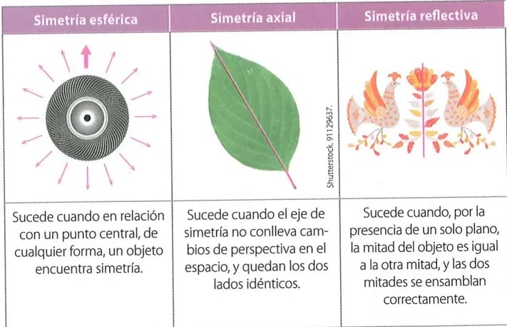 Figura 2 de Matematica · 8 EGB · 2025