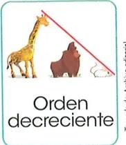 Figura 5 de Matematica · 2 EGB · 2025