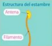 Figura 5 de Ciencias Naturales · 5 EGB · 2024