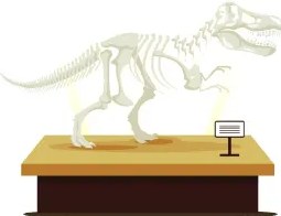 Figura 3 de Lengua Y Literatura · 6 EGB · 2025