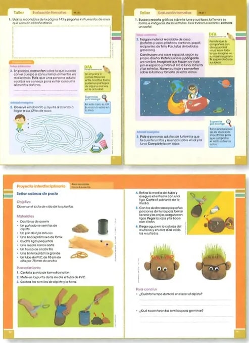 Figura 1 de Ciencias Naturales · 2 EGB · 2025