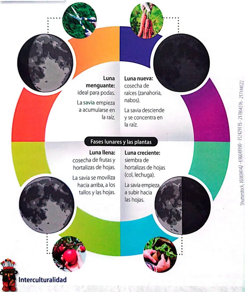 Figura ancestral para sección Interculturalidad