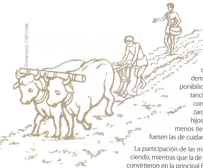 Figura 1 de Estudios Sociales · 8 EGB · 2024