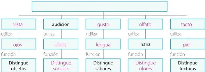Figura 2 de Ciencias Naturales · 6 EGB · 2025