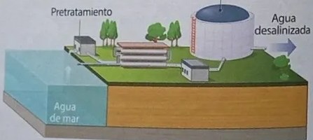 Figura 4 de Ciencias Naturales · 3 EGB · 2024