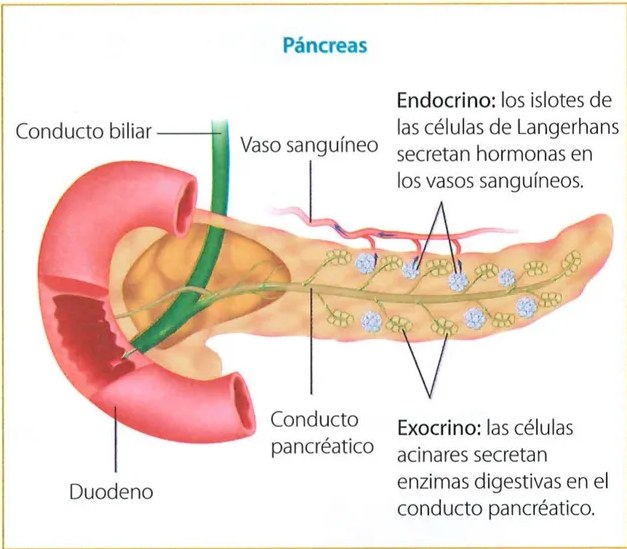Figura 2 de Ciencias Naturales · 7 EGB · 2024