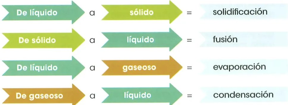 Figura 3 de Ciencias Naturales · 2 EGB · 2025