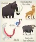 Megafauna del Pleistoceno (mamut, tigre dientes de sable, dodo, águila).