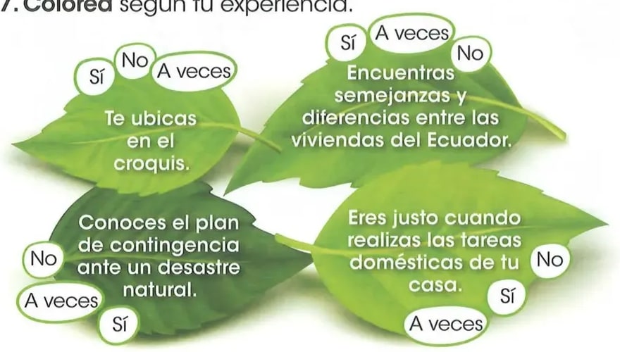 Figura 5 de Estudios Sociales · 2 EGB · 2025