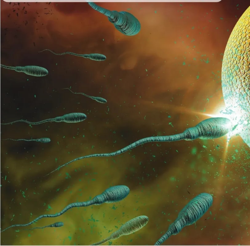 Figura 1 de Ciencias Naturales · 6 EGB · 2025