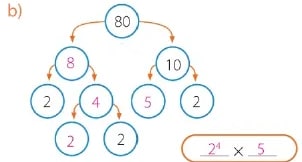 Figura 17 de Matematica · 6 EGB · 2025