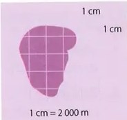 Figura 3 de Matematica · 8 EGB · 2025