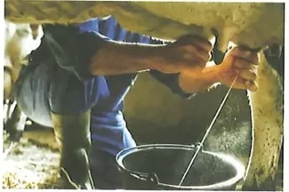 Figura 2 de Ciencias Naturales · 2 EGB · 2025