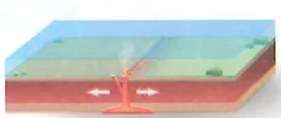 Figura 3 de Ciencias Naturales · 7 EGB · 2024