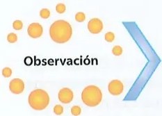 Figura 3 de Ciencias Naturales · 10 EGB · 2024