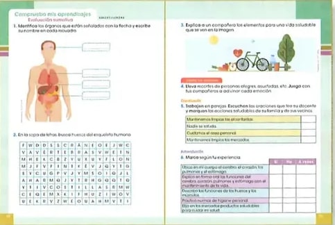 Figura 4 de Ciencias Naturales · 2 EGB · 2025