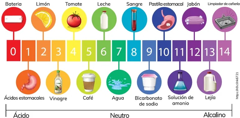 Figura 1 de Quimica · 2do BGU · 2024