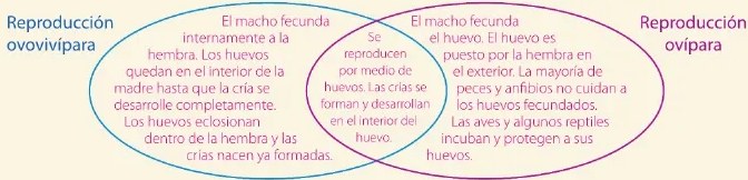 Figura 2 de Ciencias Naturales · 6 EGB · 2025