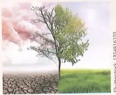 Figura 2 de Ciencias Naturales · 8 EGB · 2025