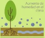 Figura 11 de Ciencias Naturales · 6 EGB · 2025
