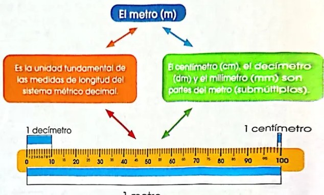 Figura 5 de Matematica · 4 EGB · 2024