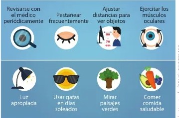 Figura 2 de Ciencias Naturales · 6 EGB · 2025