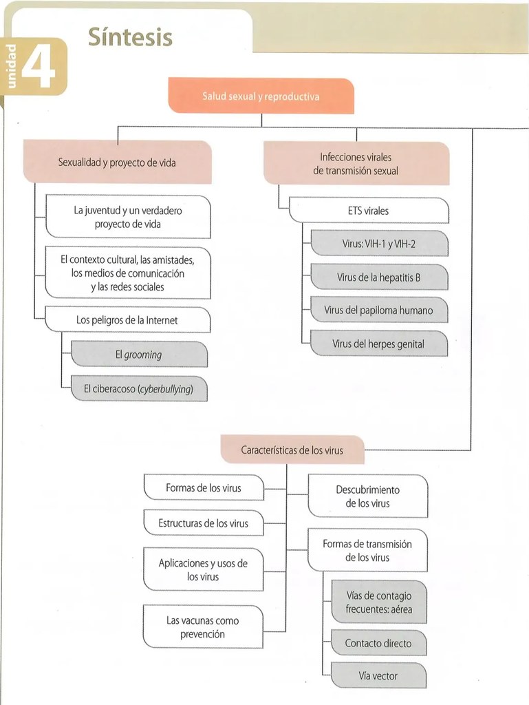 Figura 2 de Ciencias Naturales · 10 EGB · 2024