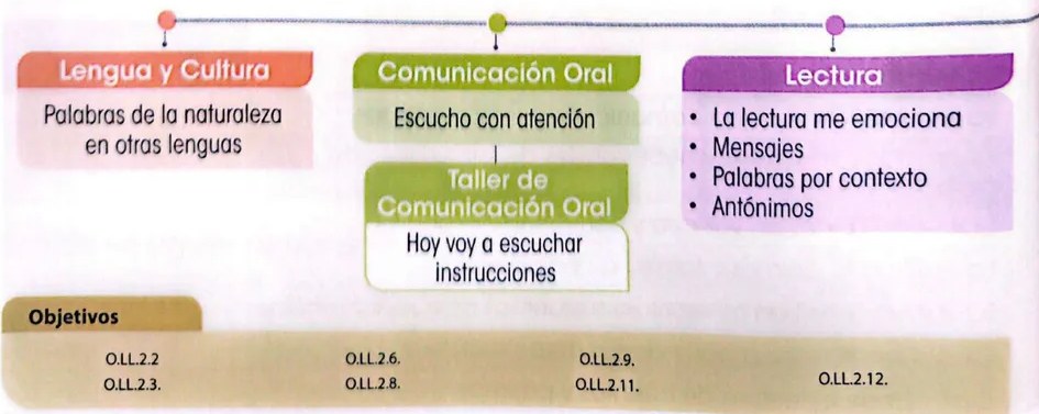 Figura 3 de Lengua Y Literatura · 3 EGB · 2025