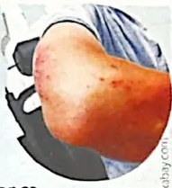 Figura 2 de Lengua Y Literatura · 4 EGB · 2024