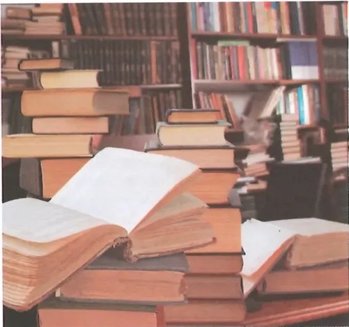 Figura 2 de Lengua Y Literatura · 10 EGB · 2025