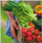 Figura 4 de Estudios Sociales · 5 EGB · 2024