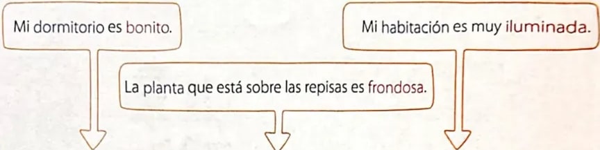 Figura 2 de Lengua Y Literatura · 4 EGB · 2024