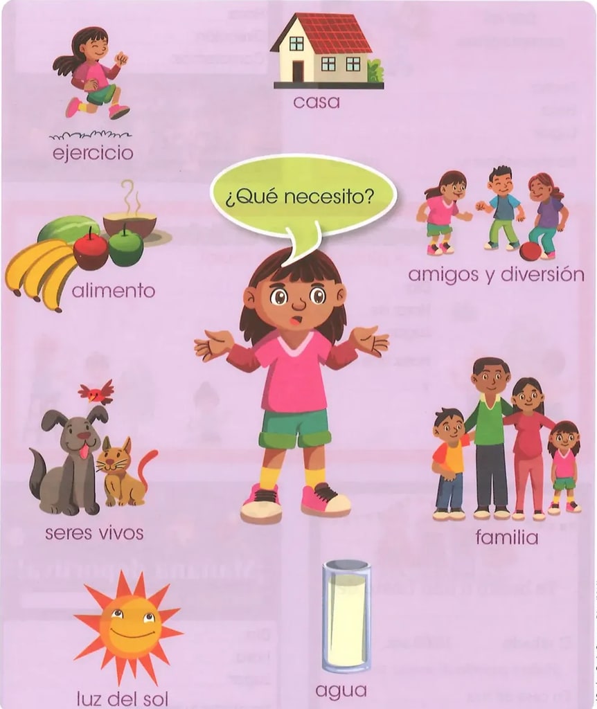 Figura 1 de Lengua Y Literatura · 2 EGB · 2025