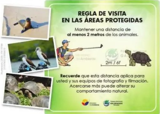 Figura 3 de Lengua Y Literatura · 5 EGB · 2024