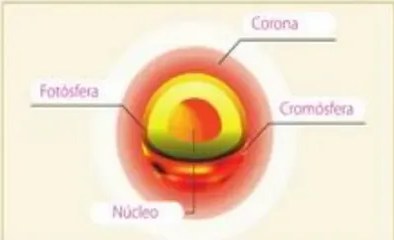 Figura 6 de Ciencias Naturales · 5 EGB · 2024