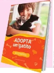 Figura 4 de Lengua Y Literatura · 6 EGB · 2025
