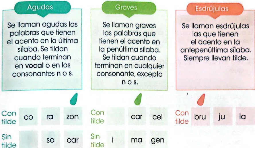 Figura 2 de Lengua Y Literatura · 3 EGB · 2025