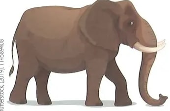 Figura 1 de Lengua Y Literatura · 2 EGB · 2025