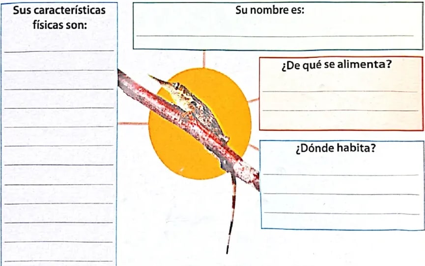 Figura 2 de Lengua Y Literatura · 4 EGB · 2024