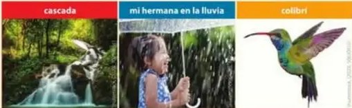 Figura 4 de Lengua Y Literatura · 5 EGB · 2024