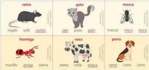 Seis paneles con imagen y palabras candidatas para identificar rimas.