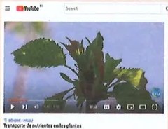 Figura 3 de Ciencias Naturales · 7 EGB · 2024