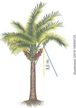 Figura 2 de Matematica · 8 EGB · 2025
